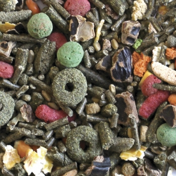 C _users_usuario_desktop_cobayas premium