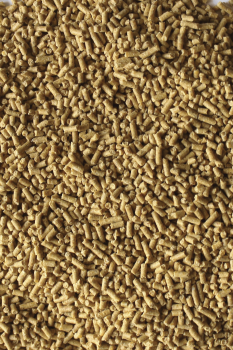 Zoocampero aves junior