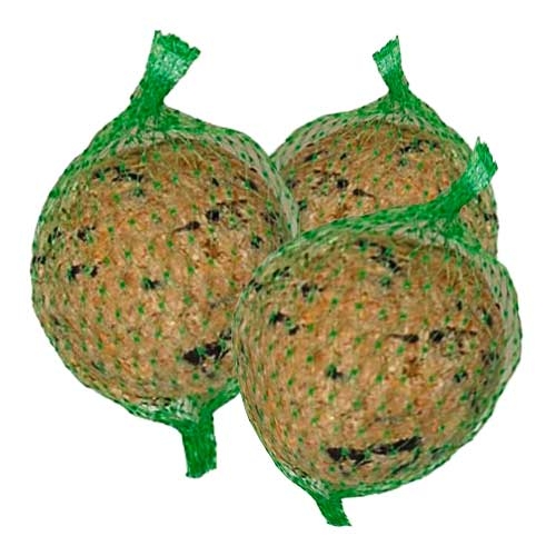 702026 jarad bolas de grasa