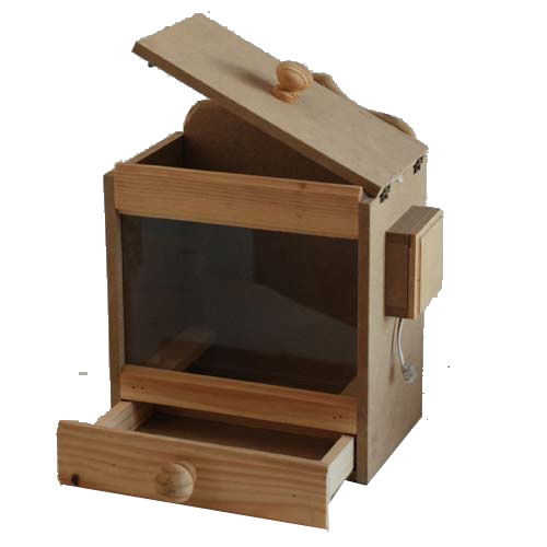 902259 auditor grande