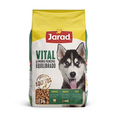 907070 jarad menu diario vital