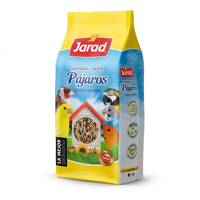 Canario sin alpiste jarad