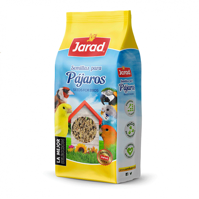 Canario sin avena jarad