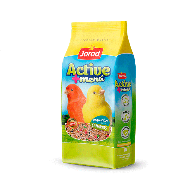 Jarad canario active