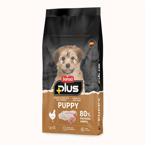 Jarad plus cachorros