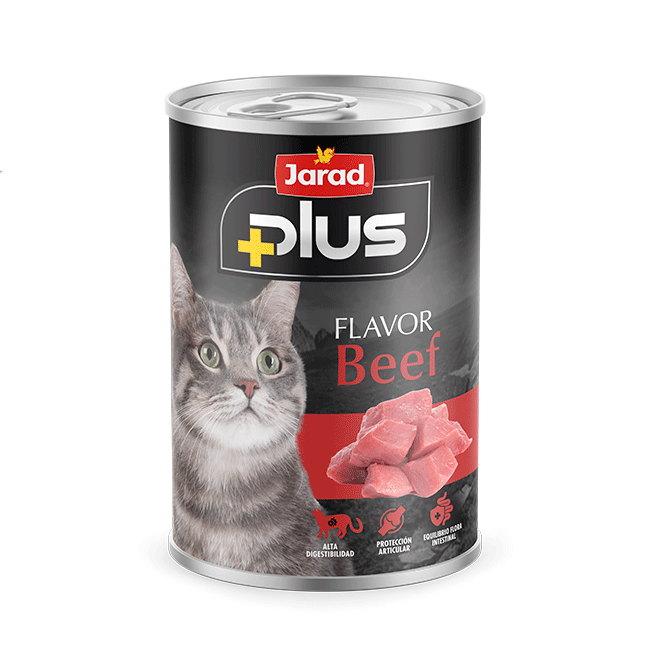 Jarad plus gato ternera