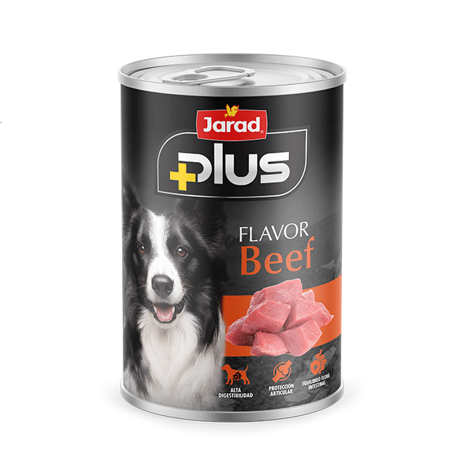 Jarad plus perro ternera