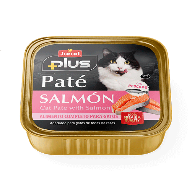 Pate jarad gato salmon