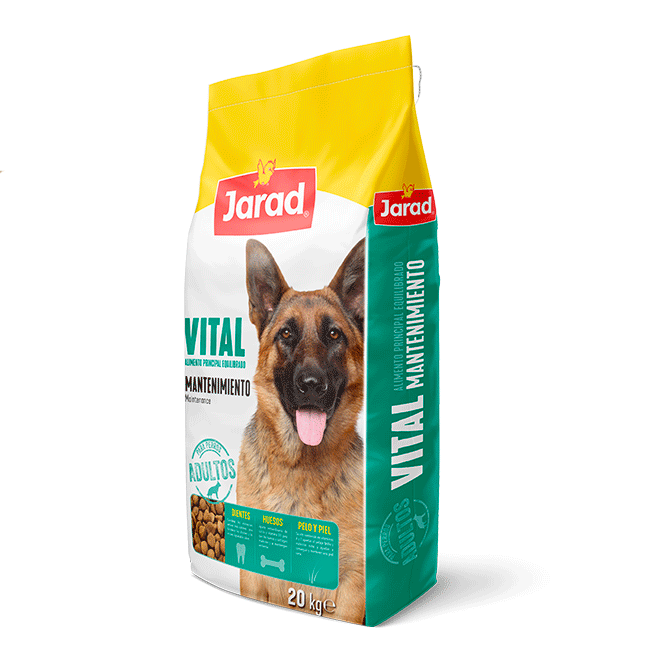 Vital perro mantenimiento