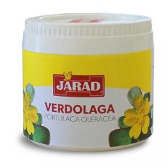 906732 verdolaga 100g