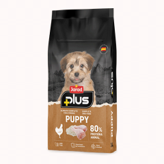 Jarad plus cachorros